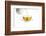 Tea-Fabio Petroni-Framed Photographic Print