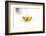 Tea-Fabio Petroni-Framed Photographic Print