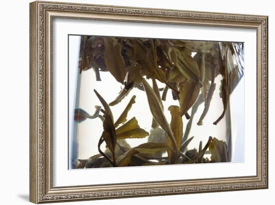 Tea-Fabio Petroni-Framed Photographic Print