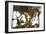 Tea-Fabio Petroni-Framed Photographic Print