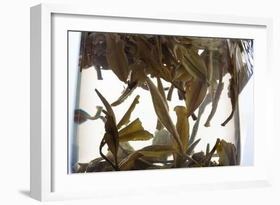 Tea-Fabio Petroni-Framed Photographic Print