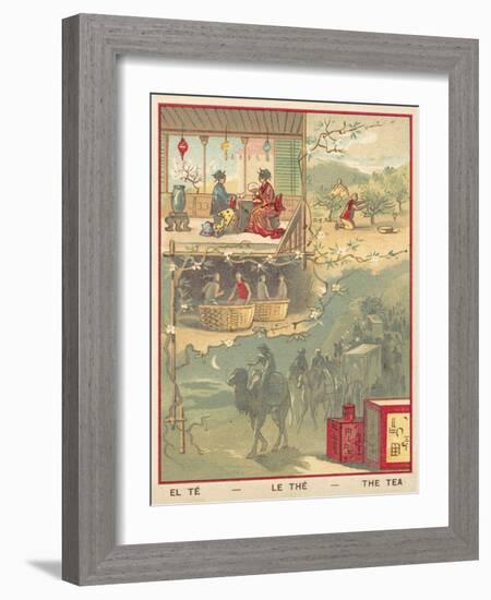 Tea-null-Framed Giclee Print