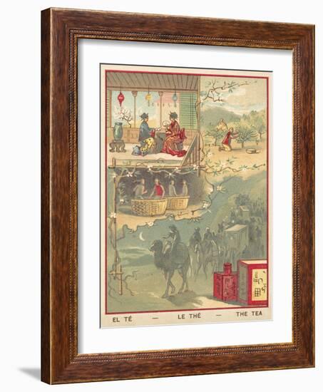 Tea-null-Framed Giclee Print