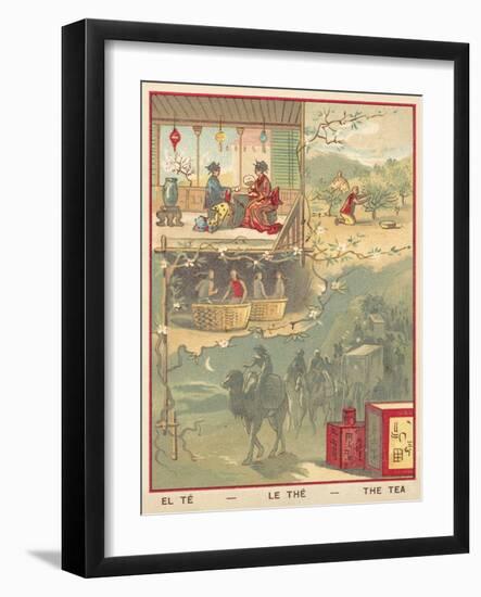 Tea-null-Framed Giclee Print