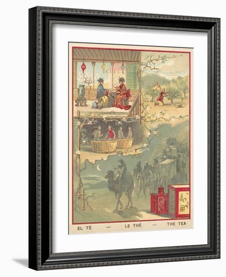 Tea-null-Framed Giclee Print