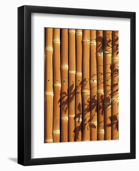 Teahouse Gate 1-Jenny Kraft-Framed Art Print