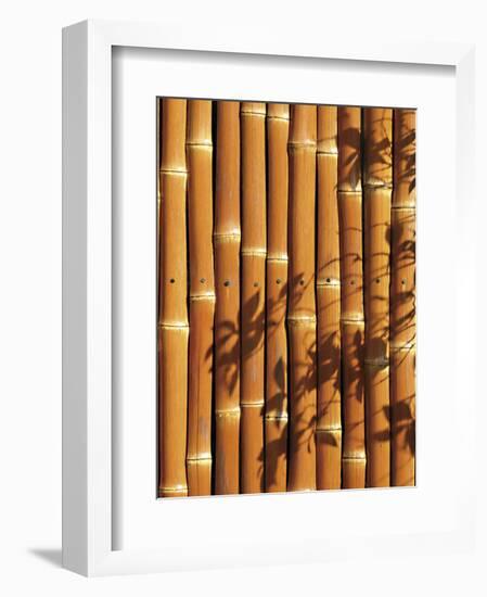 Teahouse Gate 1-Jenny Kraft-Framed Art Print