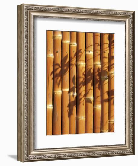 Teahouse Gate 2-Jenny Kraft-Framed Art Print