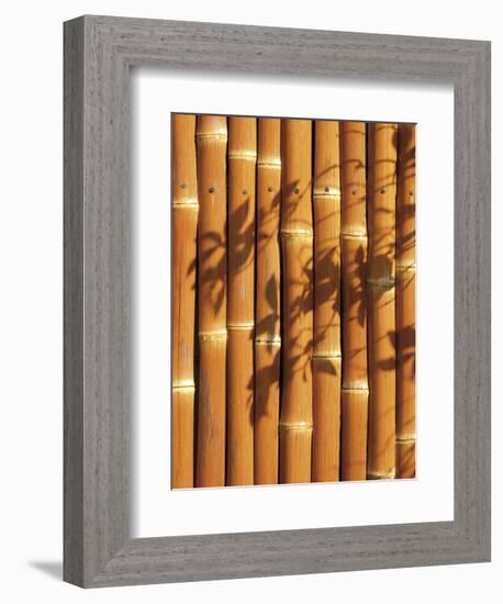 Teahouse Gate 2-Jenny Kraft-Framed Art Print