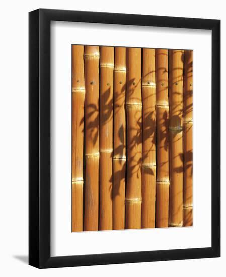 Teahouse Gate 2-Jenny Kraft-Framed Art Print