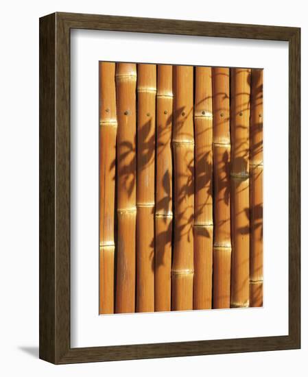 Teahouse Gate 2-Jenny Kraft-Framed Art Print