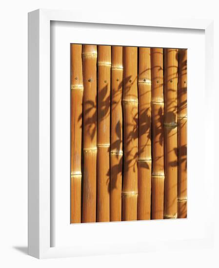 Teahouse Gate 2-Jenny Kraft-Framed Art Print