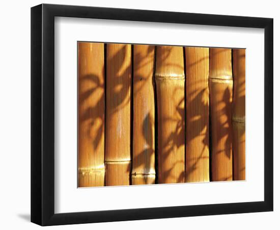 Teahouse Gate 4-Jenny Kraft-Framed Art Print