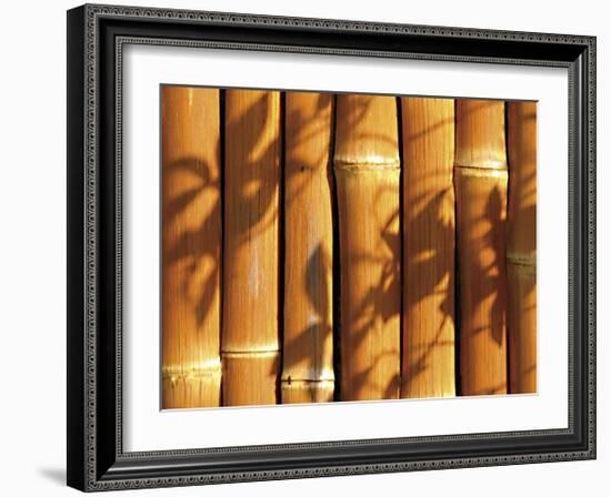 Teahouse Gate IV-Jenny Kraft-Framed Giclee Print