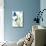 Teal Belles I-Lanie Loreth-Mounted Premium Giclee Print displayed on a wall