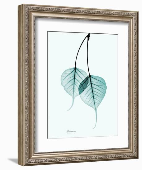 Teal Bodhi Tree-Albert Koetsier-Framed Art Print