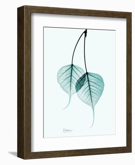 Teal Bodhi Tree-Albert Koetsier-Framed Art Print