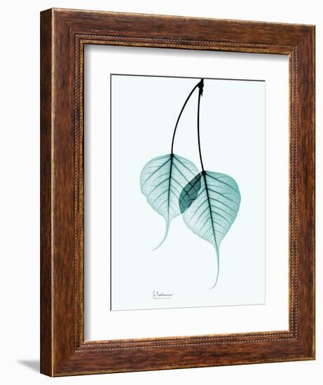 Teal Bodhi Tree-Albert Koetsier-Framed Art Print