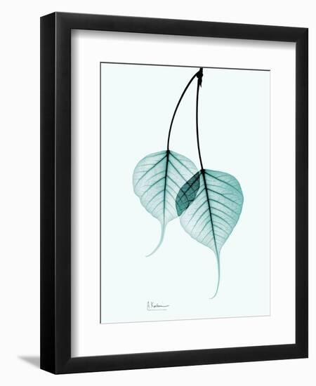 Teal Bodhi Tree-Albert Koetsier-Framed Art Print