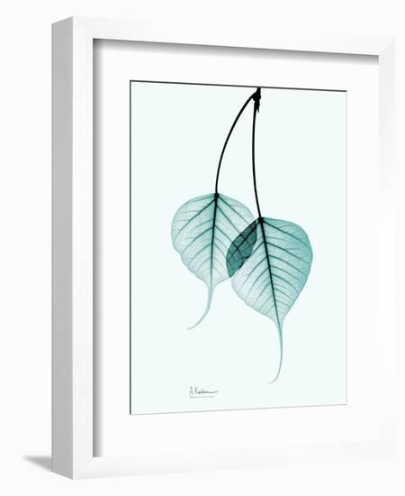 Teal Bodhi Tree-Albert Koetsier-Framed Art Print