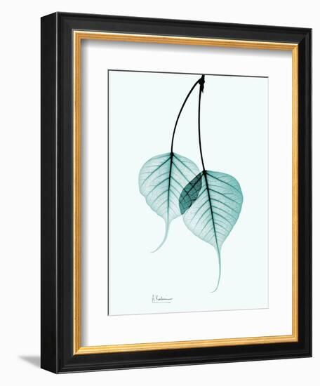 Teal Bodhi Tree-Albert Koetsier-Framed Art Print