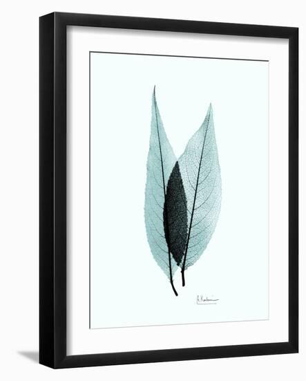 Teal Caplulin Cherry-Albert Koetsier-Framed Art Print