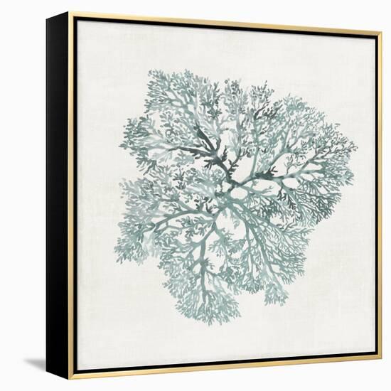 Teal Coral I-Aimee Wilson-Framed Stretched Canvas