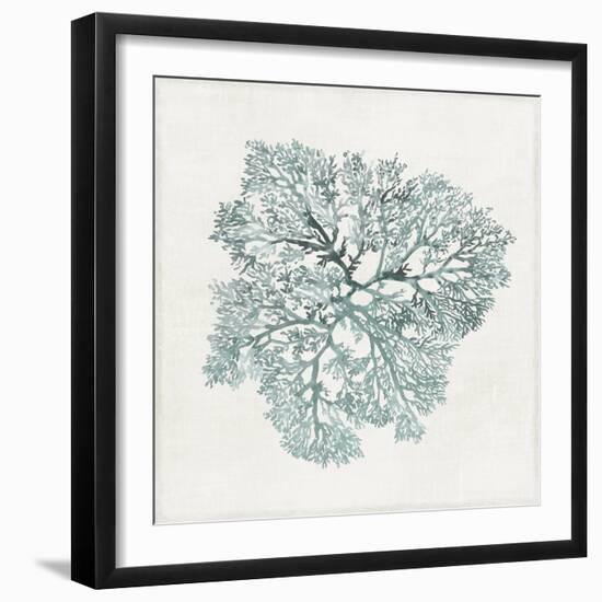 Teal Coral I-Aimee Wilson-Framed Art Print