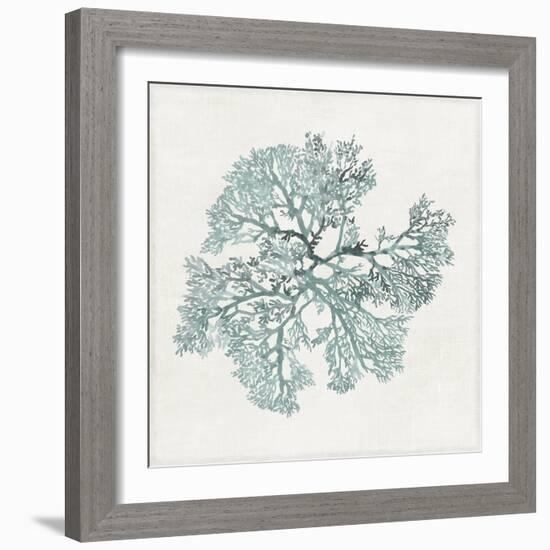 Teal Coral II-Aimee Wilson-Framed Art Print