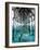 Teal Dock I-Jairo Rodriguez-Framed Art Print