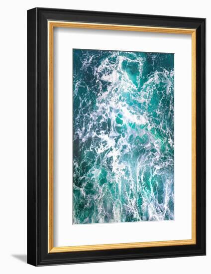 Teal Embrace-Lynne Douglas-Framed Photographic Print