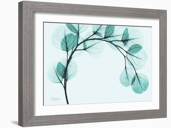 Teal Eucalyptus-Albert Koetsier-Framed Premium Giclee Print