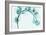 Teal Eucalyptus-Albert Koetsier-Framed Premium Giclee Print