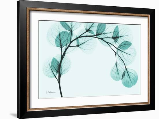 Teal Eucalyptus-Albert Koetsier-Framed Premium Giclee Print