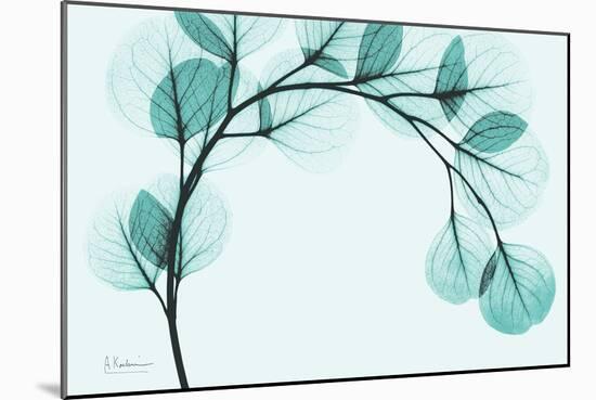 Teal Eucalyptus-Albert Koetsier-Mounted Art Print