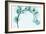 Teal Eucalyptus-Albert Koetsier-Framed Art Print