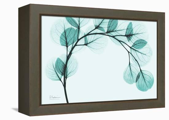 Teal Eucalyptus-Albert Koetsier-Framed Stretched Canvas