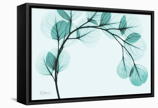 Teal Eucalyptus-Albert Koetsier-Framed Stretched Canvas