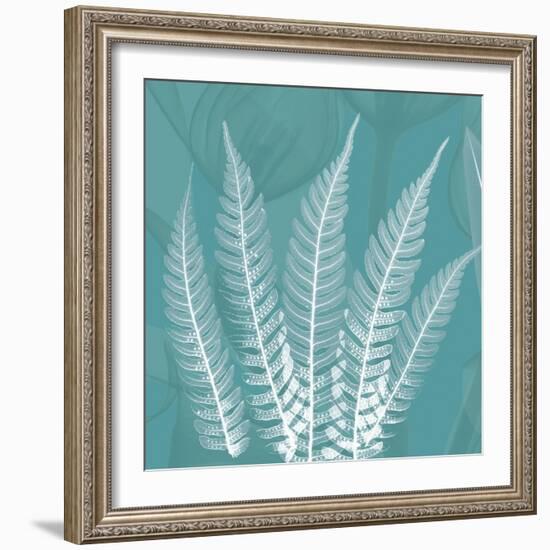 Teal Fern Xray-Albert Koetsier-Framed Art Print