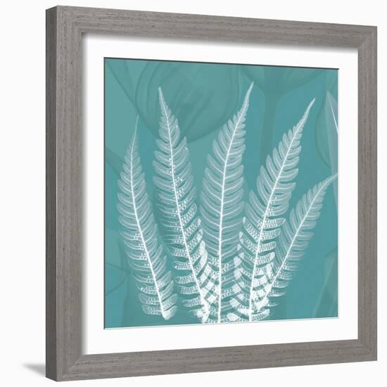 Teal Fern Xray-Albert Koetsier-Framed Art Print