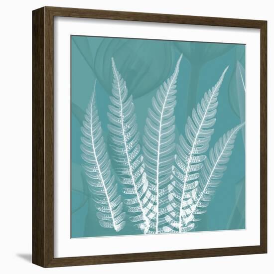 Teal Fern Xray-Albert Koetsier-Framed Art Print