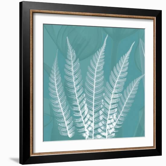 Teal Fern Xray-Albert Koetsier-Framed Art Print