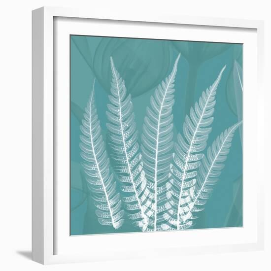 Teal Fern Xray-Albert Koetsier-Framed Art Print