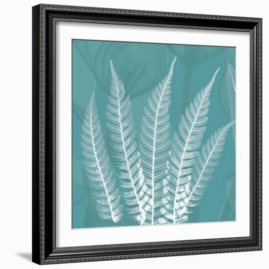 Teal Fern Xray-Albert Koetsier-Framed Art Print