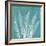 Teal Fern Xray-Albert Koetsier-Framed Art Print