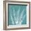 Teal Fern Xray-Albert Koetsier-Framed Art Print