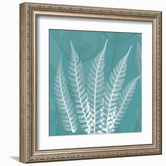 Teal Fern Xray-Albert Koetsier-Framed Art Print