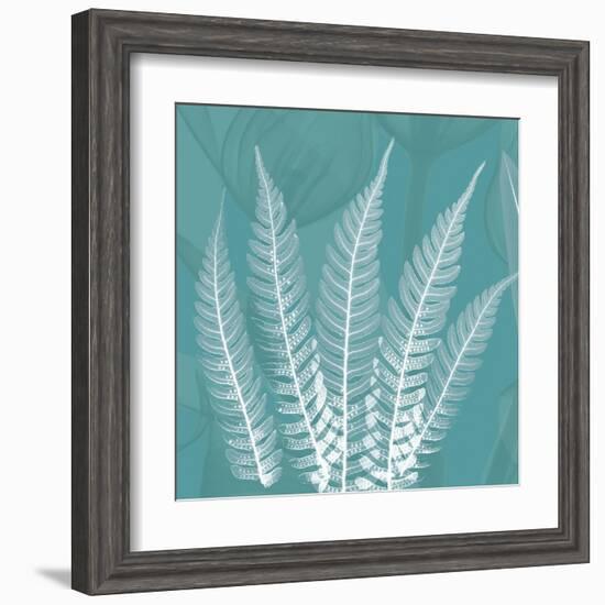 Teal Fern Xray-Albert Koetsier-Framed Art Print