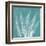 Teal Fern Xray-Albert Koetsier-Framed Art Print