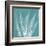 Teal Fern Xray-Albert Koetsier-Framed Art Print